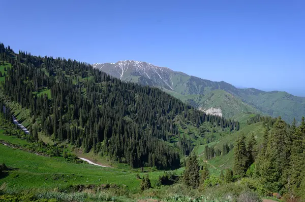 Karpat Dağlarının güzel manzarası