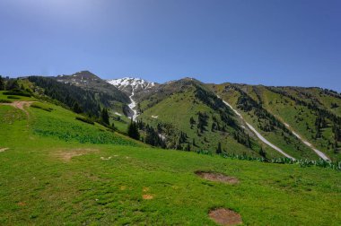 Yeşil çimenli güzel yaz manzarası ve bulutlu mavi gökyüzü.
