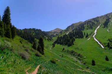 Yazın dağın güzel manzarası.