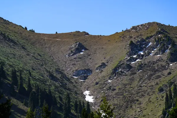 Güneşli bir yaz gününde dağ manzarası