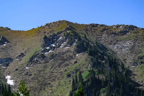 Karlı dağ manzarası - dağlarla kaplı.