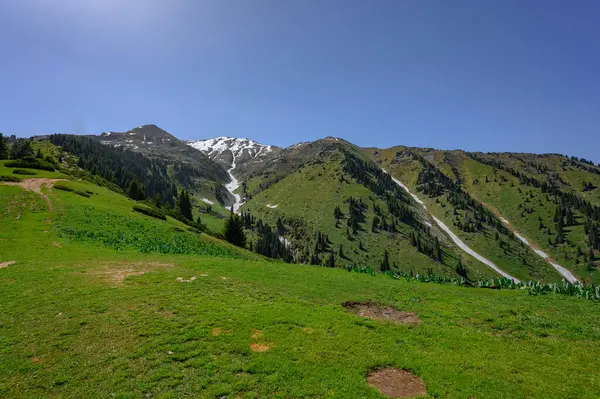 Yeşil çimenli güzel yaz manzarası ve bulutlu mavi gökyüzü.