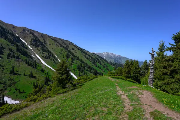 Dağ yolu ormandaki.