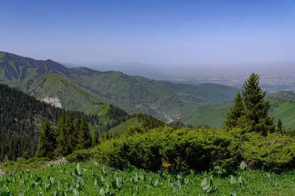 Dağın tepesinden güzel manzara