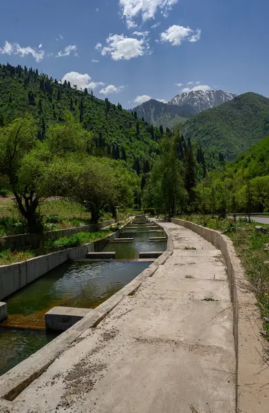 Dağlardaki nehrin güzel manzarası