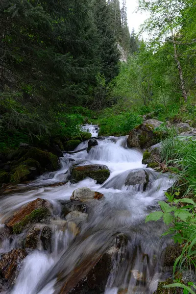 Ormanda güzel bir şelale
