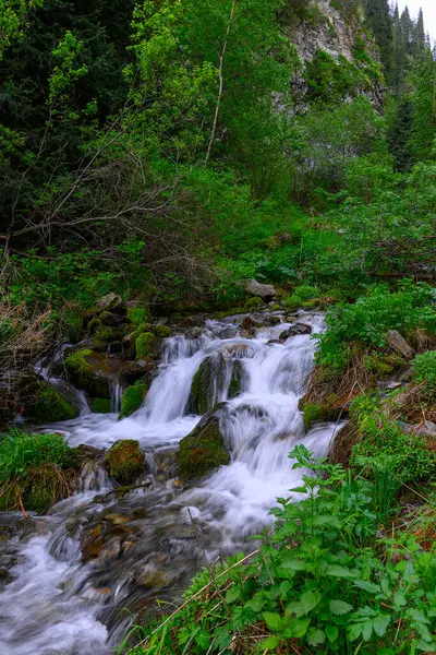 Ormanda güzel bir şelale
