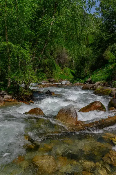 Ormanda güzel bir şelale