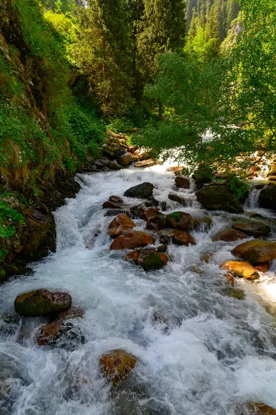 Ormanda güzel bir şelale