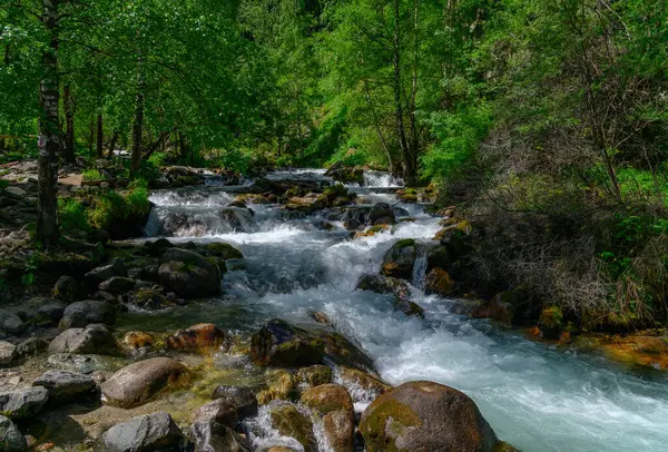 Ormanda güzel bir şelale