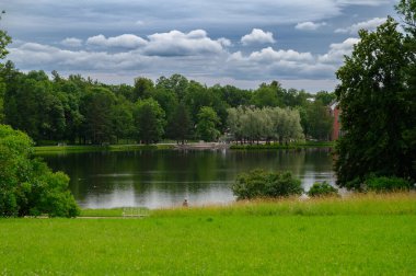 Yaz manzarası. Güneşli bir günde yeşil park. Yaz manzarası.