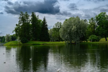 Yazın parkta göl ve yeşil ağaçlar.