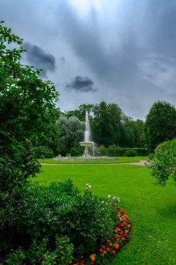 Parkın güzel manzarası