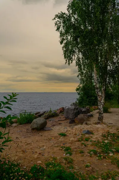 Akşamları deniz kıyısında.