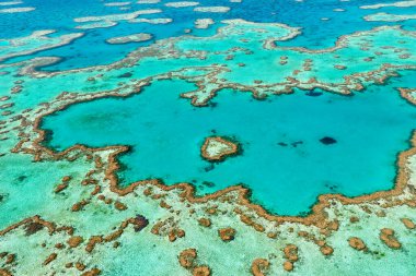 Heart Reef. Hardy reef. Great Barrier Reef. Queensland. Australia - Date: 03 - 09 - 2023 clipart