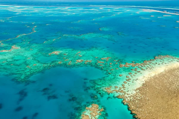 WhitSunday Adaları. Büyük Set Resifi. Queensland 'de. Avusturalya - Tarih: 03 - 09 - 2023