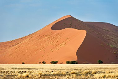 Namibya. Sossusvlei 'deki kum tepeleri. Namib Naukluft Ulusal Parkı - Tarih: 04 - 08 - 2023
