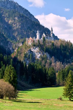 Almanya Bavyera Romantik Yolu. Fussen. Neuschwanstein Şatosu - Tarih: 19 - 04 - 2023