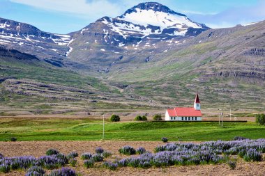 Hallgrmskirjia Kilisesi. Reykjavik İzlanda - Tarih: 17 - 07 - 2023