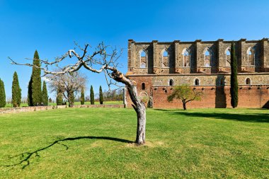 Saint Galgano 'nun çatısız manastırı. Siena Toskana İtalya - Tarih: 09 - 04 - 2023