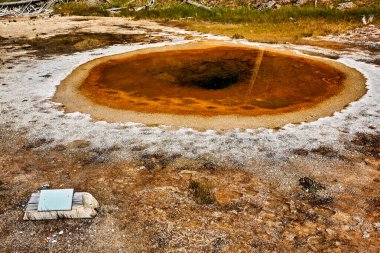 Yellowstone Ulusal Parkı 'nda Dalga Baharı. Wyoming 'de. ABD. Ağustos 2020 - Tarih: 09 - 08 - 2023