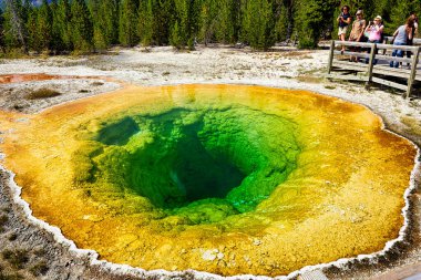 Yellowstone Ulusal Parkı 'nda Sabah Zaferi Havuzu - Tarih: 09 - 08 - 2023