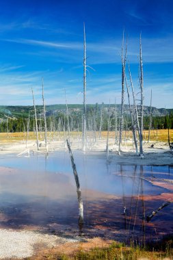 Kara Kum Havzası. Yellowstone Ulusal Parkı 'ndaki Opalesans Havuzu. Wyoming 'de. ABD. Ağustos 2020 - Tarih: 10 - 08 - 2023