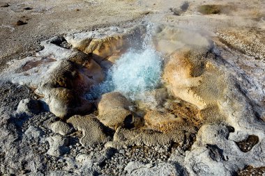 Kara Kum Havzası. Yellowstone Ulusal Parkı 'nda Jewel Gayzer. Wyoming 'de. ABD. Ağustos 2020 - Tarih: 10 - 08 - 2023