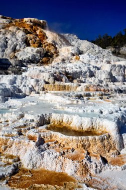 Palette Springs 'de. Mammoth Kaplıcaları 'nda şeytanların parmağı. Yellowstone Ulusal Parkı. Wyoming 'de. ABD. Ağustos 2020 - Tarih: 11 - 08 - 2023