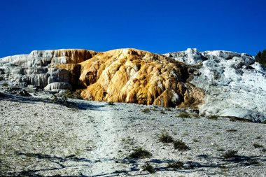 Mammoth Kaplıcaları 'ndaki Kleopatra Terası. Yellowstone Ulusal Parkı. Wyoming 'de. ABD. Ağustos 2020 - Tarih: 11 - 08 - 2023