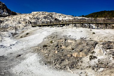 Mammoth Kaplıcaları 'ndaki Minerva Terası. Yellowstone Ulusal Parkı. Wyoming 'de. ABD. Ağustos 2020 - Tarih: 11 - 08 - 2023