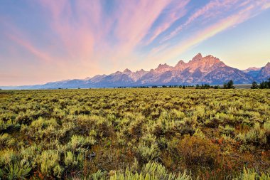 Grand Teton Ulusal Parkı 'nda gün doğumu. Wyoming 'de. Birleşik Devletler. - Tarih: 14 - 08 - 2023