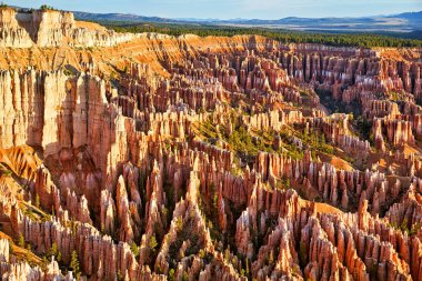 Bryce Kanyonu Milli Parkı 'nda güneş doğuyor. Utah USA - Tarih: 18 - 08 - 2023