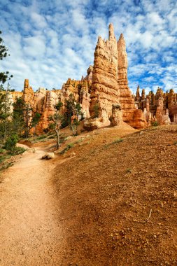 Queens Garden Trail 'de haydutların arasında yürüyüş. Bryce Canyon Ulusal Parkı. Utah USA - Tarih: 18 - 08 - 2023