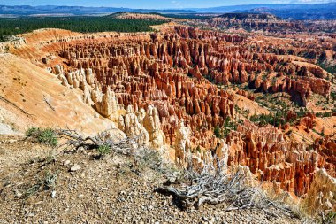 Bryce Canyon Ulusal Parkı 'nda ilham noktası gözcüsü. Utah USA - Tarih: 18 - 08 - 2023