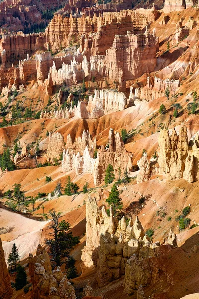 Bryce Canyon Ulusal Parkı 'ndaki Sunrise Point' te gün doğumu. Utah USA - Tarih: 18 - 08 - 2023