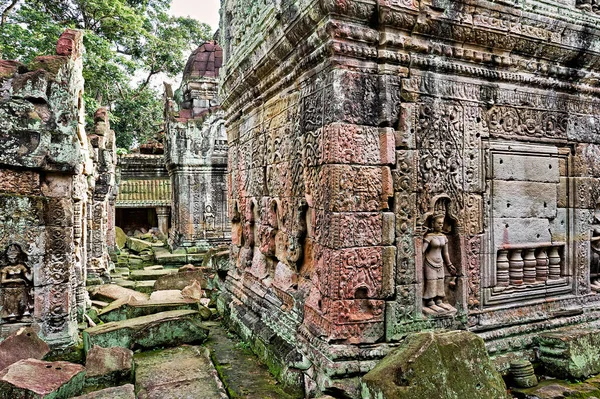 Preah Kahn tapınağı. Siem Reap. Kamboçya - Tarih: 14 - 08 - 2023