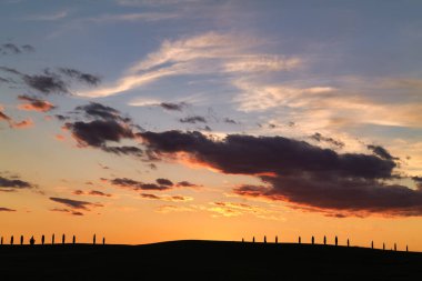 Val d 'Orcia Tuscany İtalya' da günbatımı, tipik selvi ile - Tarih: 29 - 08 - 2023