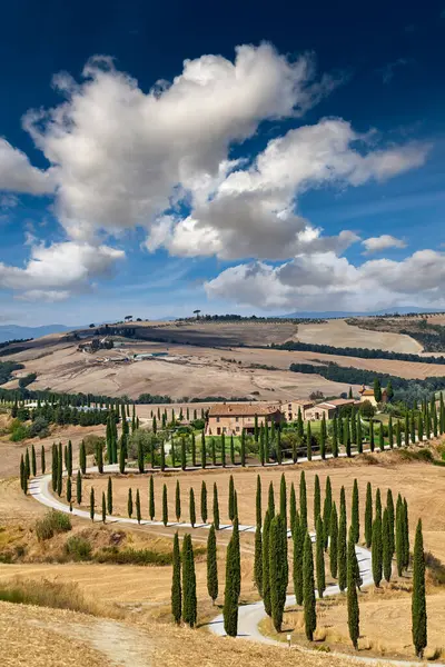 Typiskt Landskap Val Orcia Toscana Italien Med Form Cypresser Datum — Stockfoto