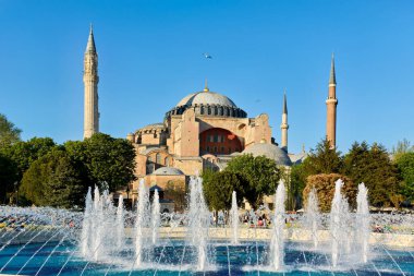 İstanbul hindisi. Ayasofya Büyük Camii - Tarih: 26 - 04 - 2023