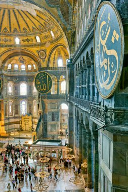 İstanbul hindisi. Ayasofya Büyük Camii - Tarih: 27 - 04 - 2023