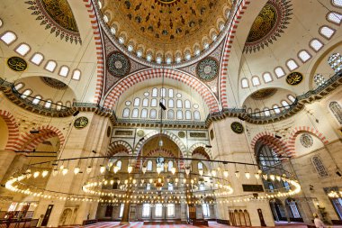 İstanbul hindisi. Süleyman Camii - Tarih: 29 - 04 - 2023
