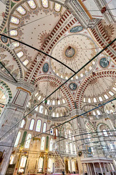 İstanbul hindisi. Fatih Camii - Tarih: 01 - 05 - 2023