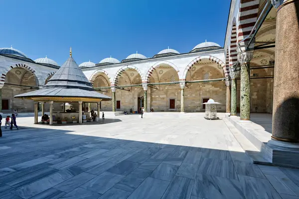 İstanbul hindisi. Fatih Camii - Tarih: 01 - 05 - 2023