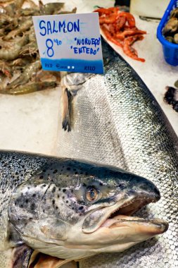 Barselona 'da. Katalonya. İspanya. Mercat de Sant Josep de la Boqueria. Balıkçı dükkanında taze somon - Tarih: 02 - 01 - 2023