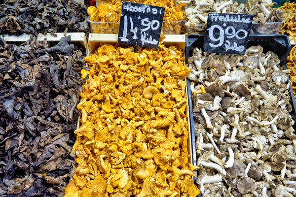 Barcelona. Catalonia. Spain. The Mercat de Sant Josep de la Boqueria. Fresh mushrooms - Date: 31 - 12 - 2023