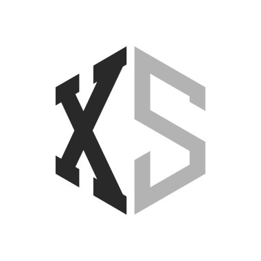 Modern Eşsiz Altıgen Harf Logo Tasarım Şablonu. Zarif XS Harf Logosu Kavramı