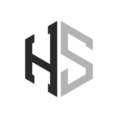 Modern Eşsiz Altıgen HS Logo Tasarım Şablonu. Zarif ilk HS Harf Logosu Kavramı