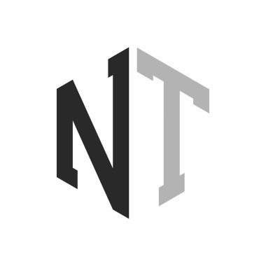 Modern Eşsiz Altıgen Harf NT Logo Tasarım Şablonu. Zarif ilk NT Harf Logosu Kavramı