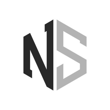 Modern Eşsiz Altıgen Harf NS Logo Tasarım Şablonu. Zarif ilk NS Harf Logosu Kavramı